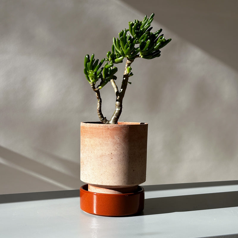 hoff plant pot Hoff planter by Bergs Potter (Pot only) – Steppe