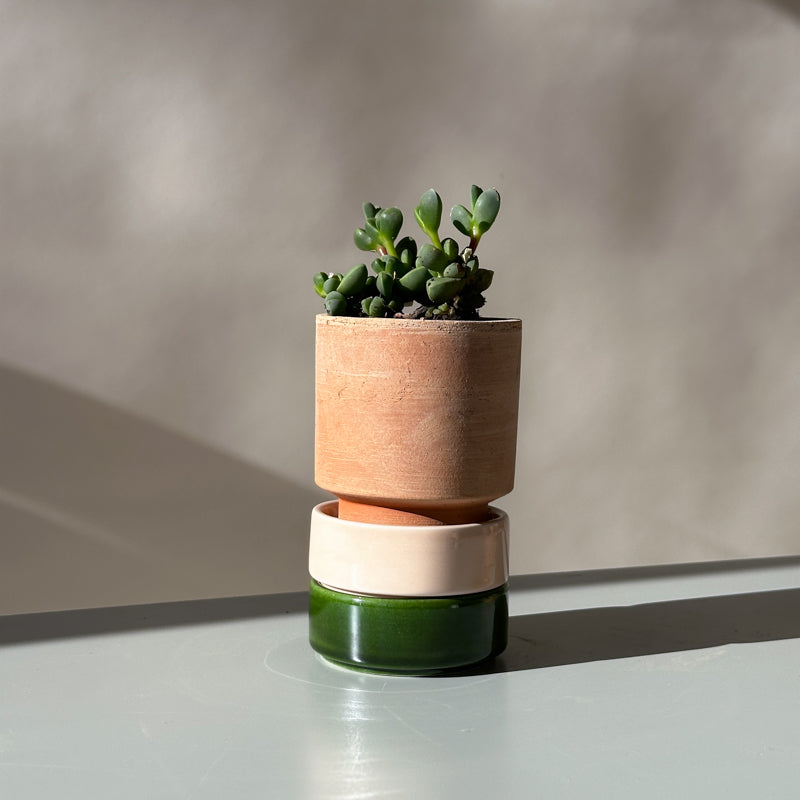 hoff plant pot Hoff planter by Bergs Potter (Pot only) – Steppe